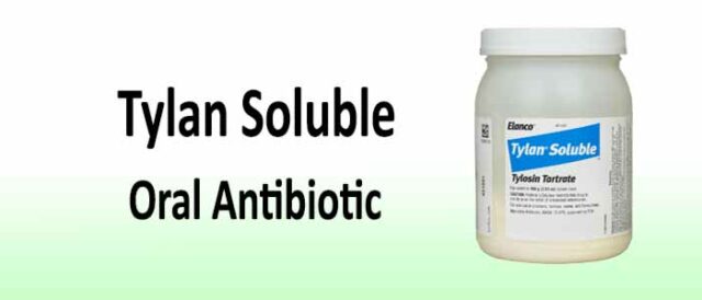 Tylan - Used To Treat Respiratory Problems 18 Tylan Soluble