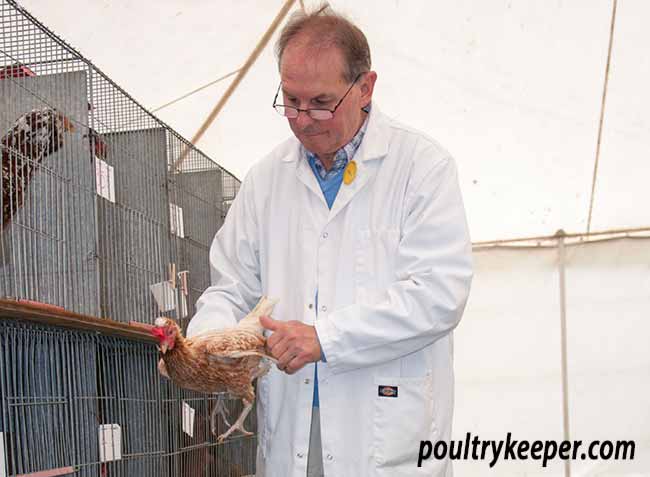 Poultry Judge Huw Evans