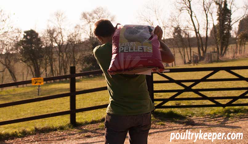 Carrying Chicken Feed