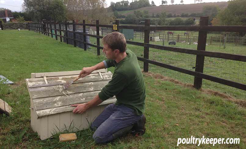 Maintaining chicken house