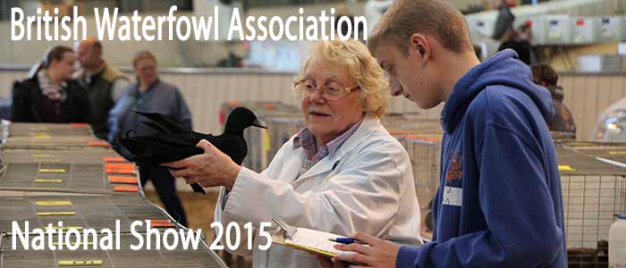 British Waterfowl Association National 2015