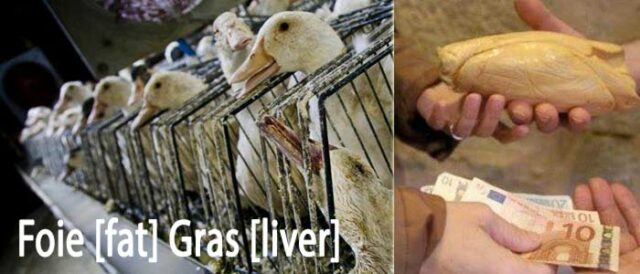 Foie Gras