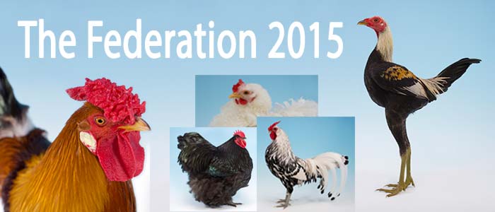 Federation 2015
