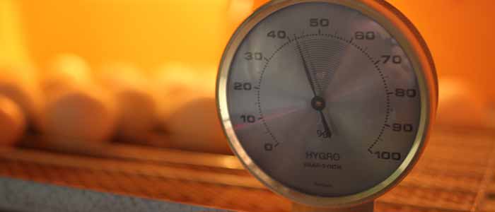 Incubation Humidity