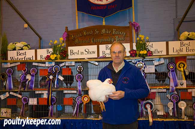 Allan Brucker with his Show Champion Wyandotte