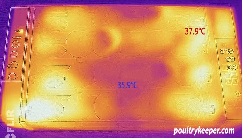 Incubator Temperature Variation