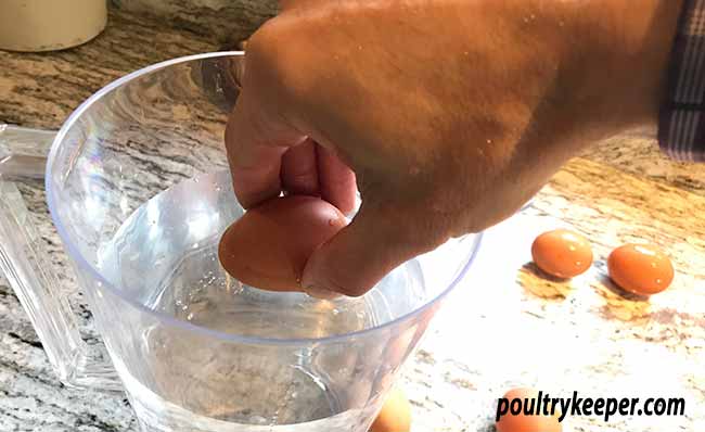 Floating an Egg in Water