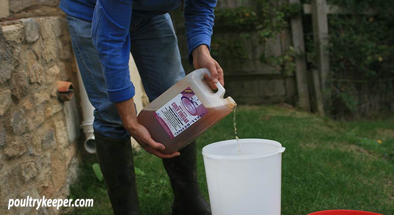 Apple Cider Vinegar for Chickens