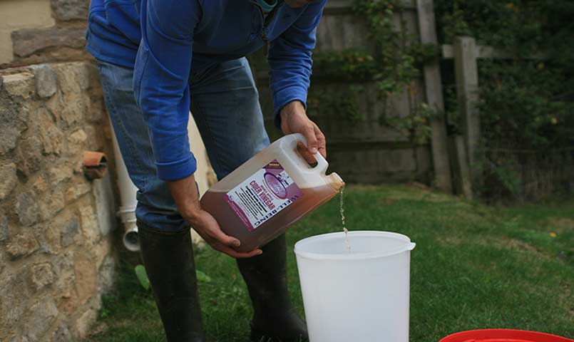 Apple Cider Vinegar for Chickens