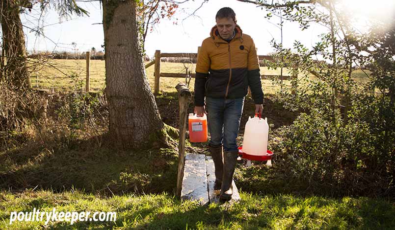 Man Carrying Apple Cider Vinegar and Water to Chickens