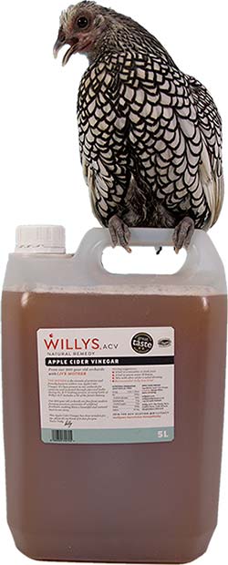 Willys Apple Cider Vinegar