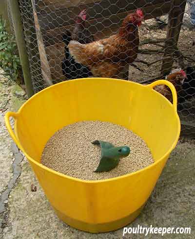 Download Poultry Nutrition What Is In Poultry Feed