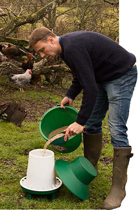 Filling up a poultry feeder