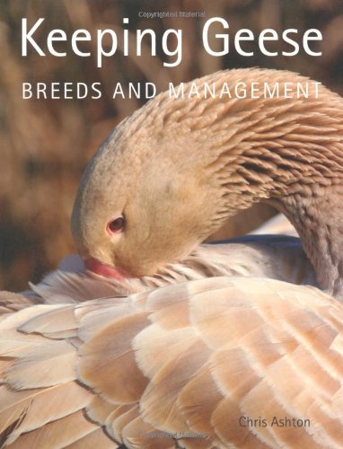 Keeping Geese Breeds and Management