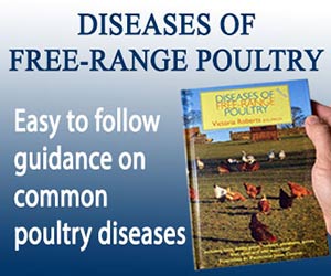 Diseases of Free Range Poultry Banner