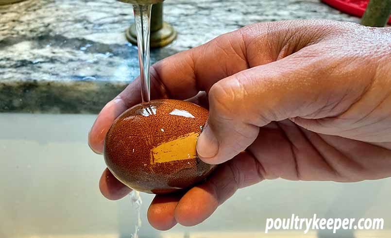 Brown pigment rubbing off an egg when washing